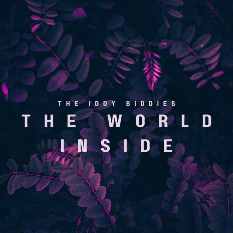 The Iddy Biddie – THE WORLD INSIDE