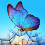 LANA CROW – In Spirit